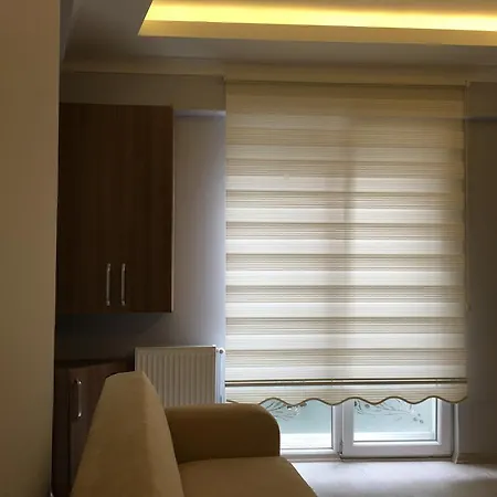 Apartment Vip *