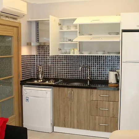 Apartment Vip *