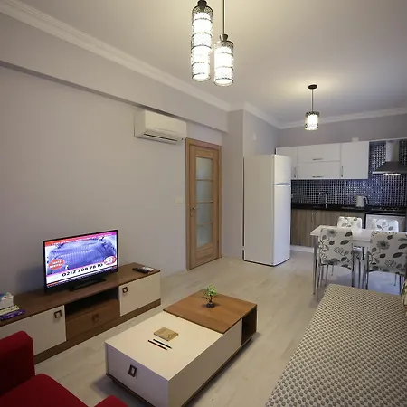 Apartment Vip *